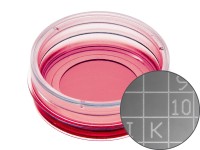 易必迪ibidi 細胞定位格子培養(yǎng)皿μ-Dish 35 mm high， glass bottom Grid-500